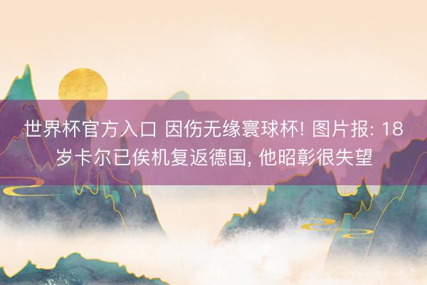 世界杯官方入口 因伤无缘寰球杯! 图片报: 18岁卡尔已俟机复返德国, 他昭彰很失望