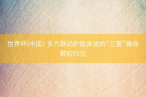 世界杯(中国) 多方联动护航奔波的“三夏”确保颗粒归仓