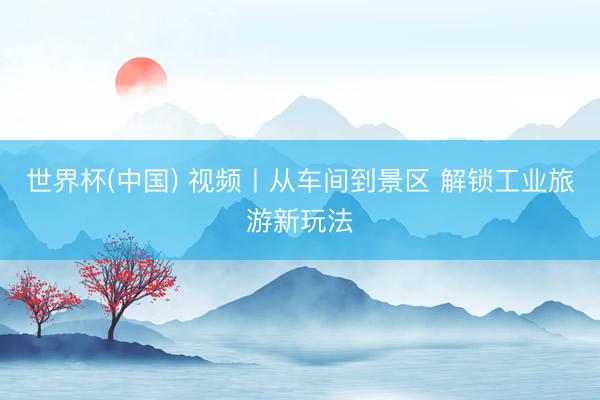世界杯(中国) 视频丨从车间到景区 解锁工业旅游新玩法