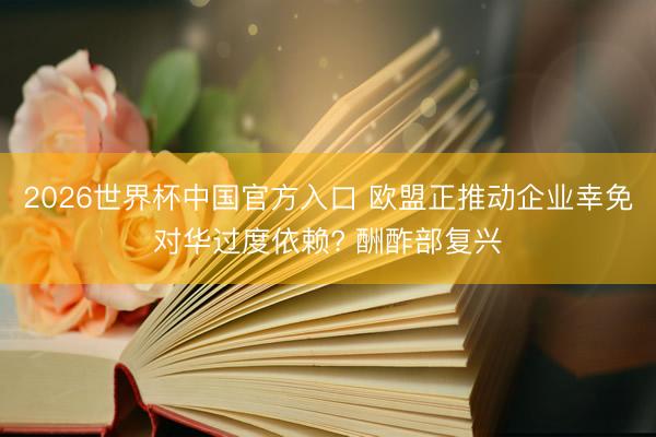 2026世界杯中国官方入口 欧盟正推动企业幸免对华过度依赖? 酬酢部复兴