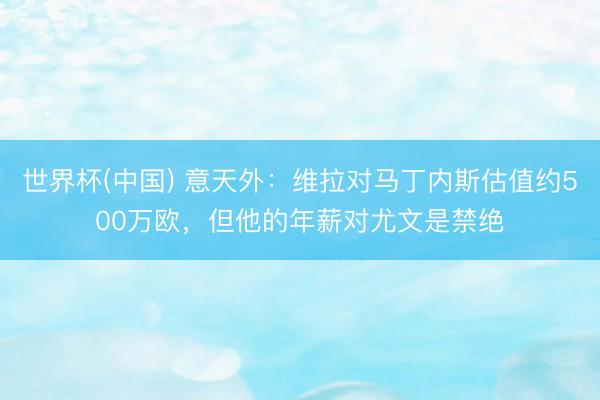 世界杯(中国) 意天外：维拉对马丁内斯估值约500万欧，但他的年薪对尤文是禁绝