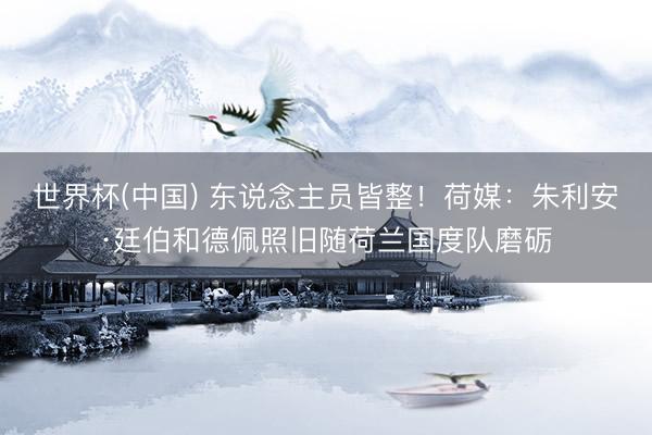 世界杯(中国) 东说念主员皆整！荷媒：朱利安·廷伯和德佩照旧随荷兰国度队磨砺