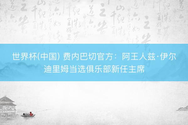 世界杯(中国) 费内巴切官方：阿王人兹·伊尔迪里姆当选俱乐部新任主席