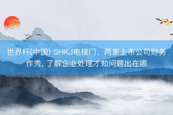 世界杯(中国) SHKJ电梯门、两家上市公司财务作秀， 了解企业处理才知问题出在哪