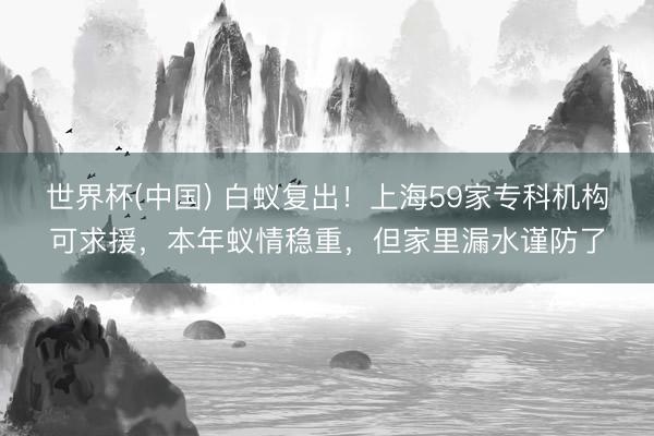 世界杯(中国) 白蚁复出！上海59家专科机构可求援，本年蚁情稳重，但家里漏水谨防了