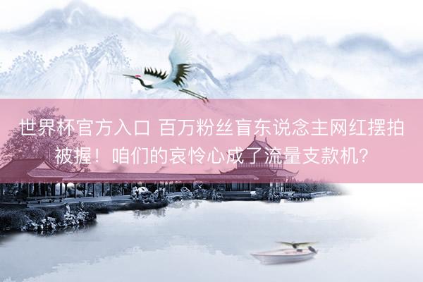 世界杯官方入口 百万粉丝盲东说念主网红摆拍被握！咱们的哀怜心成了流量支款机？