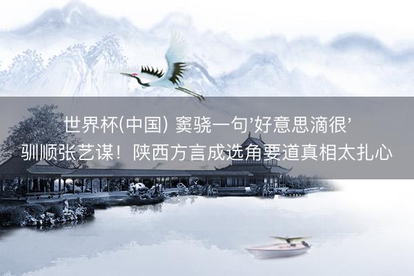 世界杯(中国) 窦骁一句'好意思滴很'驯顺张艺谋！陕西方言成选角要道真相太扎心
