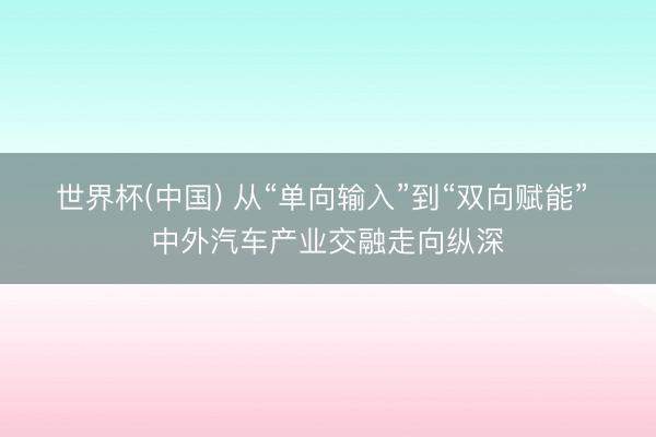 世界杯(中国) 从“单向输入”到“双向赋能” 中外汽车产业交融走向纵深