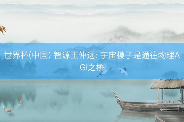 世界杯(中国) 智源王仲远: 宇宙模子是通往物理AGI之桥