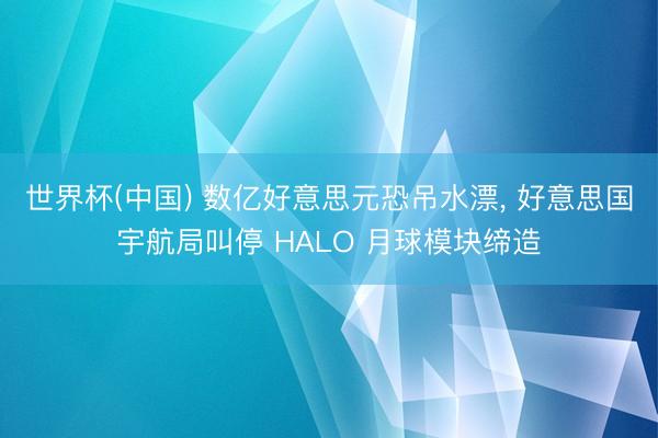 世界杯(中国) 数亿好意思元恐吊水漂， 好意思国宇航局叫停 HALO 月球模块缔造